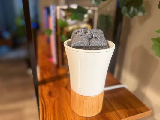Enchanted Storybook - Cashmere Musk Wax Melts